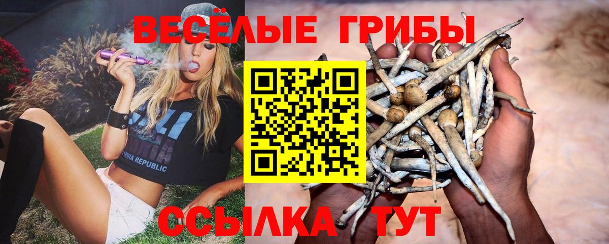 Кандалакша  наркошоп  Вход с VPN  Галлюциногенные грибы мухоморы  Псилоцибиновые грибы Cubensis 